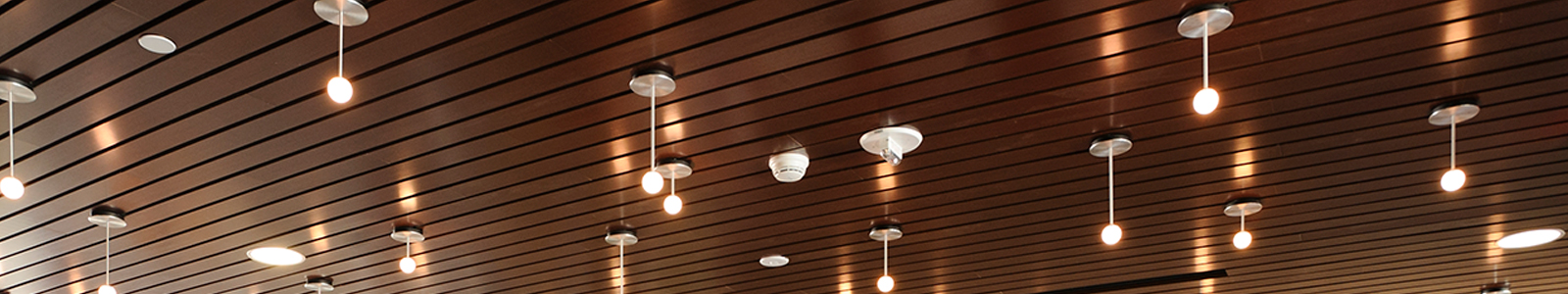 Circular lights hanging down from a wood slated ceiling in the Robin's Nest Café.