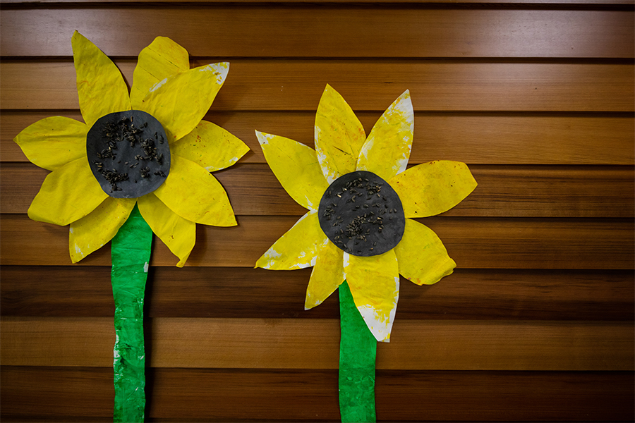 Two handmade sunflowers made out of paper on a wood paneled background.